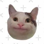 Charlie Zamoresen Profile Picture