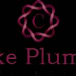 Clarke Plumbing Profile Picture
