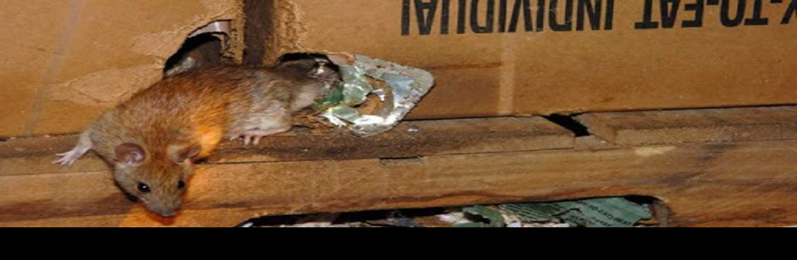 Pests R Us Ltd Cover Image