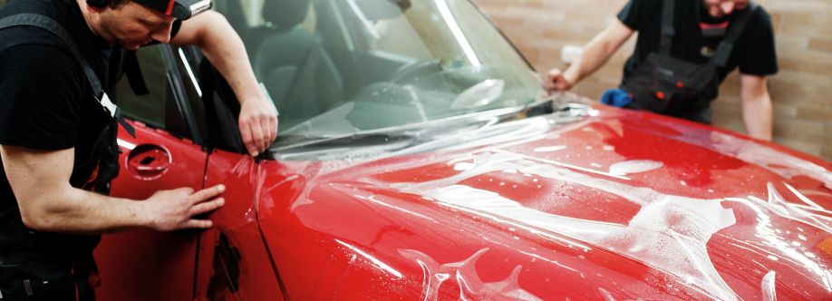 PRO Vinyl Cover Image