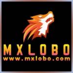 mxlobo mxlobo Profile Picture