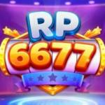 rp667 rp667 Profile Picture
