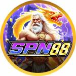 spn88 spn88 Profile Picture