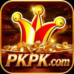 pkpk pkpk Profile Picture