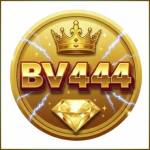 bv444 bv444 Profile Picture