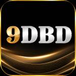9dbd 9dbd Profile Picture