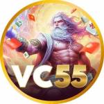 vc55 vc55 Profile Picture