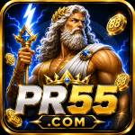 pr55 pr55 Profile Picture