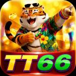 tt66 tt66 Profile Picture
