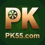 pk55 pk55 Profile Picture