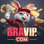 bravip bravip Profile Picture