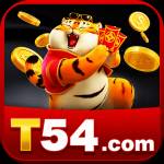 t54 t54 Profile Picture