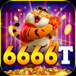 6666t 6666t Profile Picture
