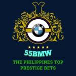 55bmw 55bmw Profile Picture