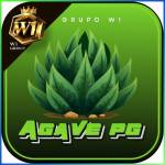 agavepg agavepg Profile Picture