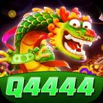 q4444 q4444 Profile Picture