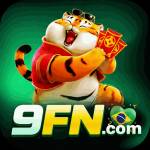 9fn 9fn Profile Picture