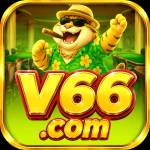 v66 v66 Profile Picture