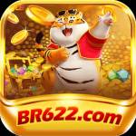 br622 br622 Profile Picture
