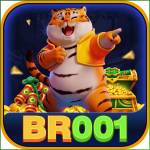 br001 br001 Profile Picture