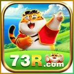 73r 73r Profile Picture