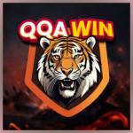 qqawin qqawin Profile Picture