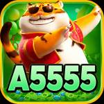 a5555 a5555 Profile Picture