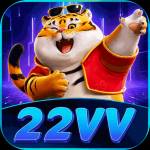 22vv 22vv Profile Picture