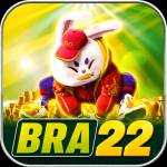 bra22 bra22 Profile Picture