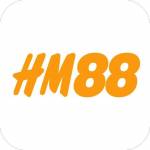 hm88 hm88 Profile Picture