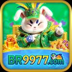 br9977 br9977 Profile Picture