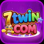 7twin 7twin Profile Picture