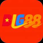 big88 big88 Profile Picture