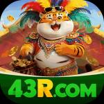 43r 43r Profile Picture