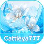 cattleya777 cattleya777 Profile Picture