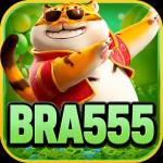 bra555 bra555 Profile Picture