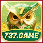 737game 737game Profile Picture