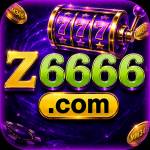 z6666 z6666 Profile Picture