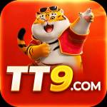 tt9 tt9 Profile Picture