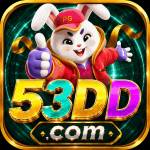 53dd 53dd Profile Picture