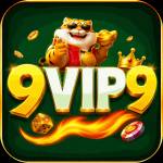 9vip9 9vip9 Profile Picture