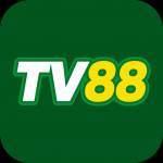 tv88 tv88 Profile Picture