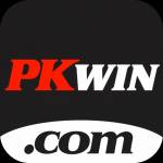 pkwin pkwin Profile Picture