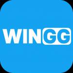 wingg wingg Profile Picture